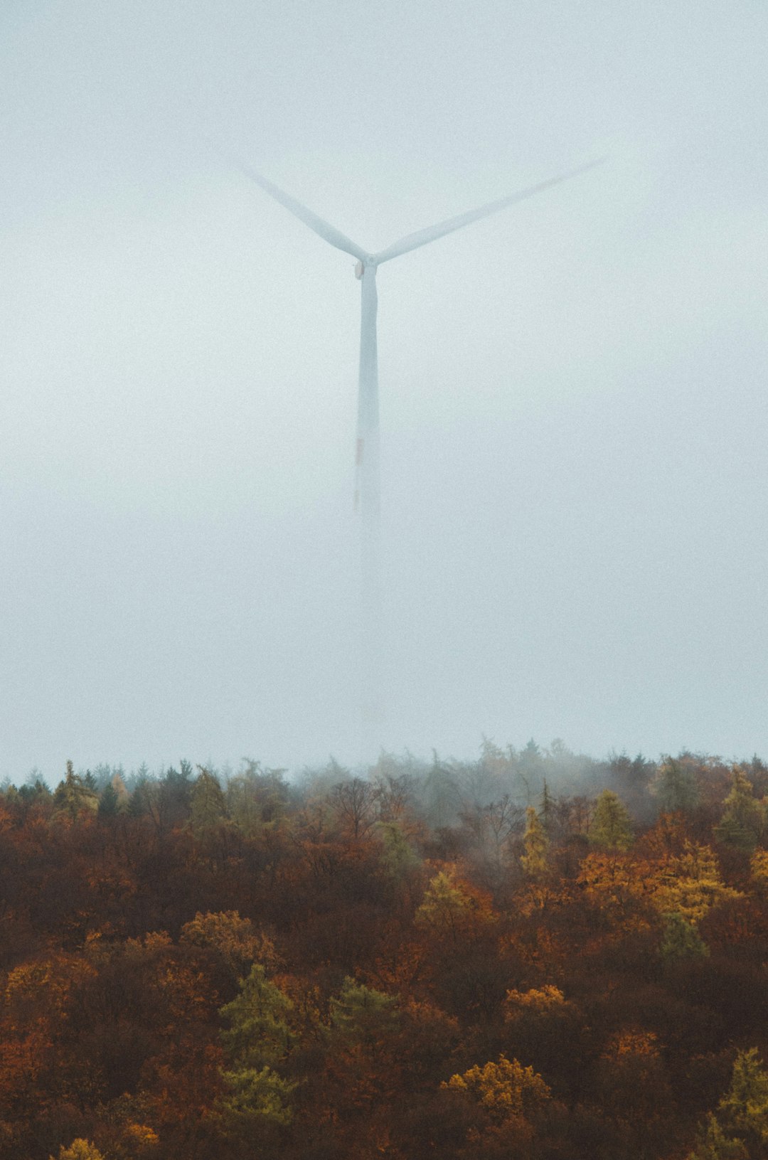 Transformacja energetyczna w Polsce